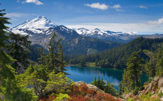 Mountain lake forest flower horizon - the foreground and a snow free wallpaper