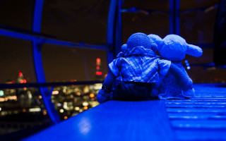 Teddy bear ledge night city - a teddy bear free wallpaper for desktop