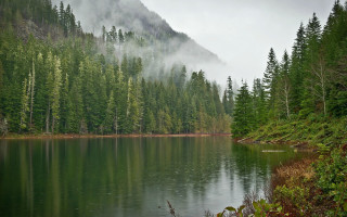 Lake fog mountain trees nature - lake free wallpaper