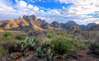 Desert mountain cactus cloudy sky - a desert free wallpaper