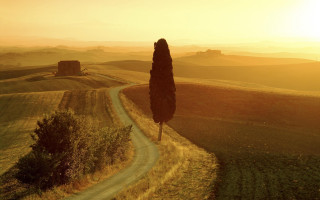 Lone tree dirtroad sunset mattepainting - a lone tree free wallpaper