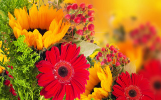 Flower bouquet yellow background red - constance copeman free wallpaper for desktop