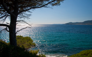 Lake forest tree sunset water - alen divi free wallpaper