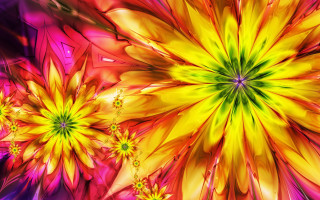 Colorful flower yellow center psychedelic - a purple center free wallpaper