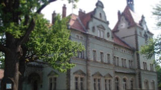 Heidelberg clock tower neo gothic - a tree in front free wallpaper