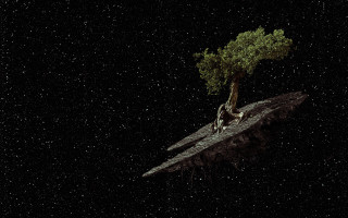 Night star tree rock person - the rock free wallpaper