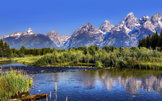 River forest hillside snow mountains - a few bush free wallpaper