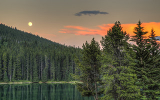 Full moon lake mountains trees - over a lake free wallpaper