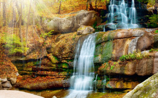 Waterfall forest rocks leaves cityscape - a waterfall in a forest free wallpaper