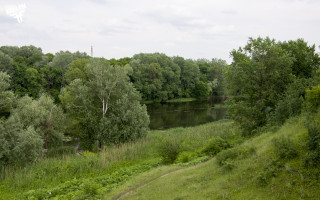 River forest greenery cloudy day - landscape free wallpaper for desktop