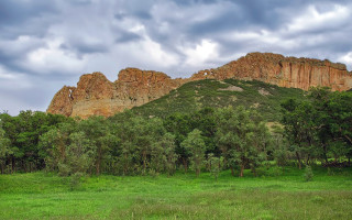 Grassy field mountain trees cloudy - free landscape wallpaper