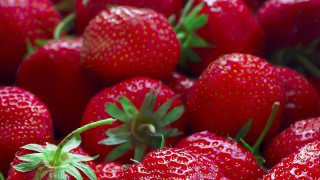 Strawberry dew closeup berries leaf - strawberry free wallpaper