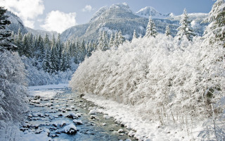 Snowy river forest mountains winter - a mountain range free wallpaper