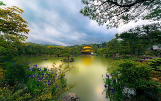 Pond trees flowers pagoda yellow - a pond free wallpaper for desktop