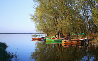Canoes lake trees sky ecological - lake free wallpaper for desktop