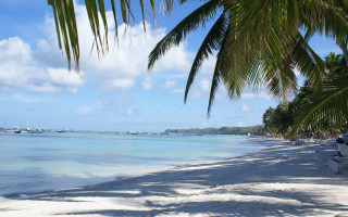 Beach boat palmtree water cloudy - hurufiyya free wallpaper