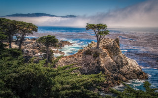 Lone tree rocky cliff ocean - darrell riche free wallpaper