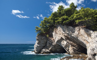 Rocky cliff tree ocean blue - path free wallpaper