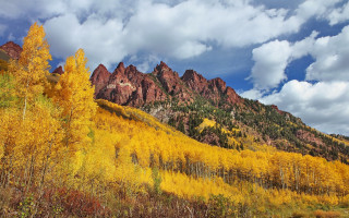 Mountain forest autumn leaves sunset - yellow leaf free wallpaper