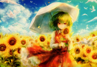 Woman sunflower umbrella field birds - an anime drawing free wallpaper