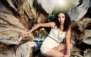 Woman white dress tree trunk 2 - a light shining free wallpaper