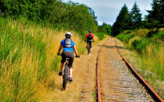 Biking dirt road train tracks - grass free wallpaper for desktop