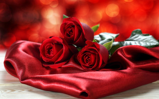 Red roses bouquet blurry bokeh - boke free wallpaper
