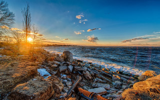 Sunset rocky beach guitar tree - hdr free wallpaper