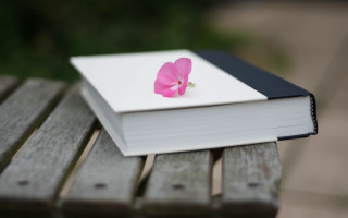 Pink flower on book outdoor 2 - book cover free wallpaper