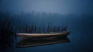 Foggy water rowboat tallgrass nature - a foggy day free wallpaper