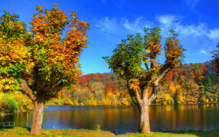 Lake fall colors fence impresionist - fall free wallpaper
