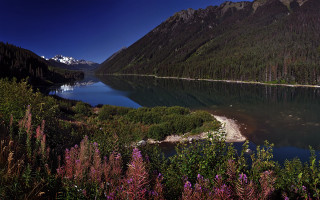 Lake mountains trees snow capped - mountain and trees free wallpaper