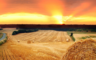 Hay bales sunset road landscape - the field free wallpaper