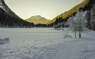 Snowy landscape lake mountains forest - the ground and trees free wallpaper for desktop