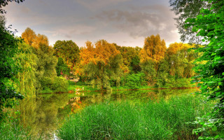 Lake trees grass clouds autumn 2 - tree and grass free wallpaper for desktop