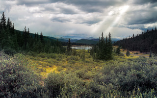 Lake forest bushes cloudy sky - a sunbeam free wallpaper