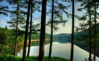 Lake forest bamboo mountain sunset - tree and a forest free wallpaper