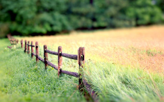 Wooden fence field bokeh bicycle - grass and trees free wallpaper