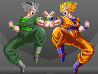 Cartoon characters fighting stance action 2 - two cartoon character free wallpaper
