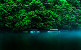 Boat river forest green nature - green tree free wallpaper