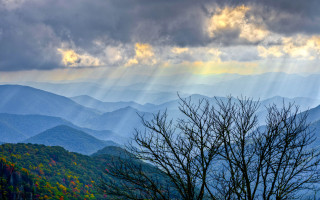 Bare tree mountain sunset cloudy - crepuscular free wallpaper for desktop