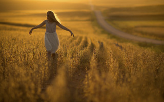 Woman white dress field sunset 4 - claire hummel free wallpaper