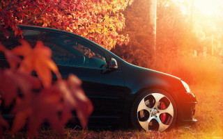 Car field trees autumn leaves - shining free wallpaper