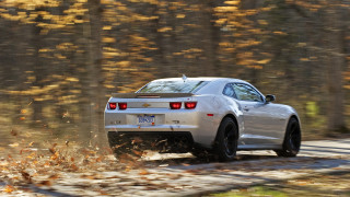 White car forest road sunny 4 - motion blur free wallpaper