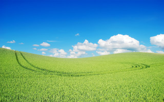 Green field blue sky clouds 36 - a green field free wallpaper