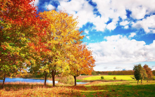 Autumn lake trees clouds sky 2 - a field free wallpaper