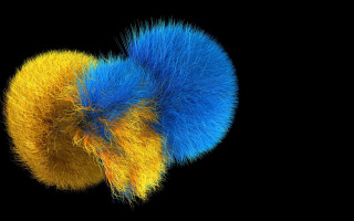 Colorful fireworks raytraced sunflower yellow - a colorful object free wallpaper