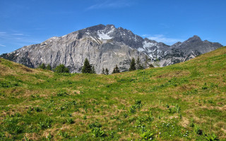 Mountain field trees snowsky cloud - a grassy field below free wallpaper
