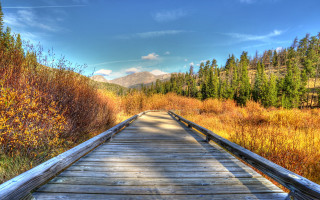 Wooden bridge mountain autumn nature - tall grass and trees free wallpaper