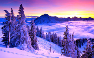 Sunset snowy mountain trees clouds 9 - a pink sky above free wallpaper
